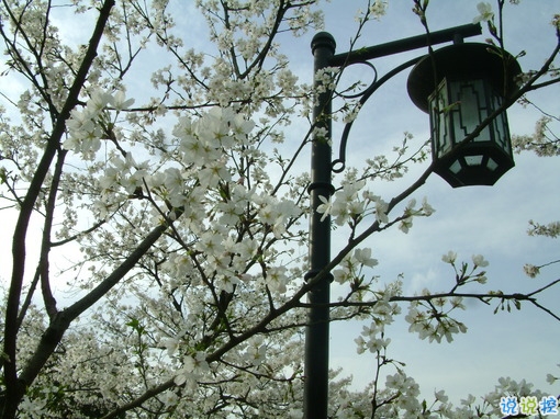 男生勵志說說致自己霸氣十足 很有道理的經(jīng)典勵志說說2