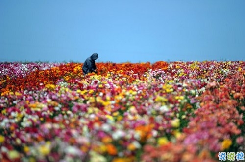 2019女生節(jié)微信說(shuō)說(shuō)大全帶圖片 三七女生節(jié)朋友圈祝福語(yǔ)說(shuō)說(shuō)11