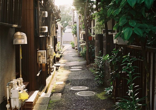 和六月說再見迎接美好的七月的正能量說說帶圖片13