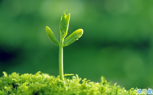 很特別的早安說說大全帶圖片 朋友圈早安心語獨一無二吸引人7