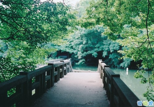 學會堅強堅持自己的夢想的個性說說帶圖片 要堅強走下去的說說發(fā)朋友圈14