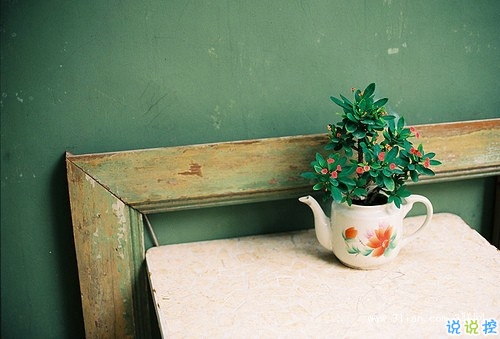 2019清明節(jié)祭奠親人的說(shuō)說(shuō)短句 祈禱天堂的親人們幸?？鞓?lè)1