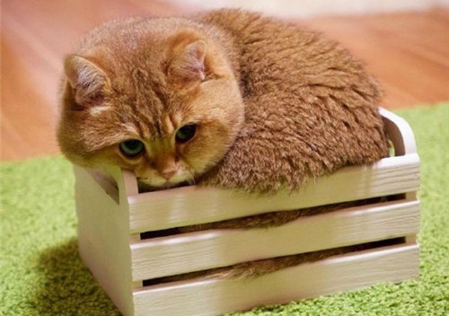 可以戳中中你笑點(diǎn)的搞笑說說帶圖片1