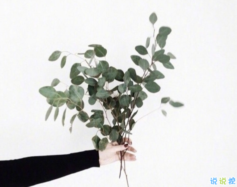 戳心又勵志的說說帶圖片精選 正能量說說給努力奮斗的自己11