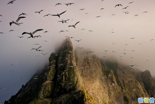 2019干凈唯美的說(shuō)說(shuō)帶圖片 最優(yōu)美好聽(tīng)的朋友圈唯美說(shuō)說(shuō)8