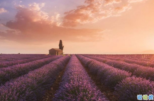 很扎心但很有道理的勵志說說帶圖片 激勵人心的很現(xiàn)實(shí)的一句話說說4