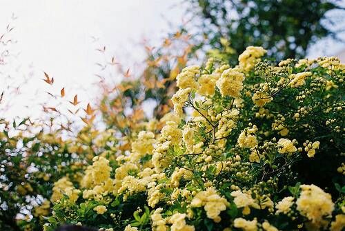 關(guān)于成長(zhǎng)人生和愛情的美到讓人心碎的說說帶圖片2