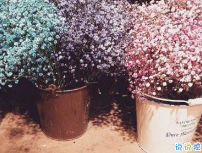 心已經(jīng)涼透了的說說帶圖片 不吵不鬧很悲傷的說說12