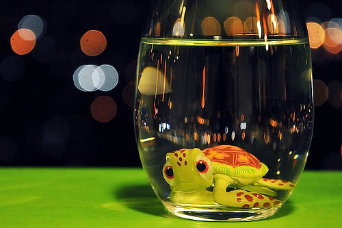 關(guān)于愛(ài)情每個(gè)人都會(huì)知道的精辟內(nèi)涵說(shuō)說(shuō)帶圖片 想與他這樣慢慢變老也許這就是愛(ài)情吧11