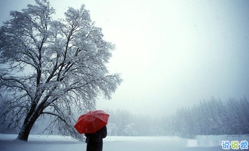 2019微信朋友圈個(gè)性說說配圖 手機(jī)有電錢包有錢比什么都好11