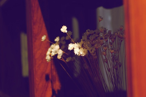 致自己的加油說說：勇于開始，才能找到成功的路。2