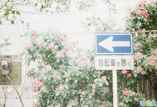 2018最新微信感恩節(jié)說說帶圖片大全 感恩節(jié)心情說說簡單好聽的6