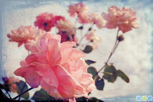 女生表白男生的話可愛簡短 2019最美最動聽的情話大全微微甜2