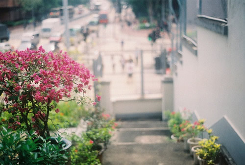 關于生活的有點傷感但很現(xiàn)實的圖片說說 哭也不會改變什么這個世界從來不會對任何人溫柔14