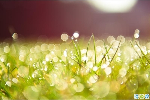 讓你爆笑的幽默有趣的句子 2019最流行搞笑說(shuō)說(shuō)逗比專屬2