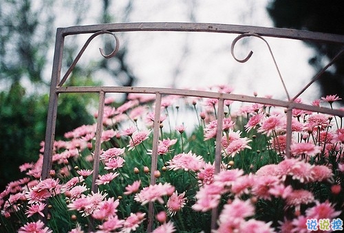 比較有詩意的愛情說說帶點(diǎn)傷感 傷感句子合集能走入女孩子內(nèi)心1