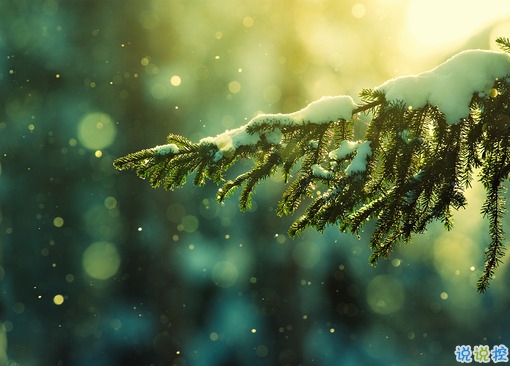 女生傷感說說帶圖片心情低落 越想越心痛的難過說說大全12