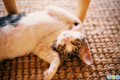 2018有深刻哲理的經典說說大全 很深刻精辟有內涵的哲理說說2