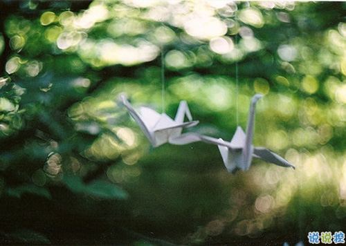 七夕寫給喜歡的人的告白說說 情人節(jié)七夕表白的經典愛情說說大全2