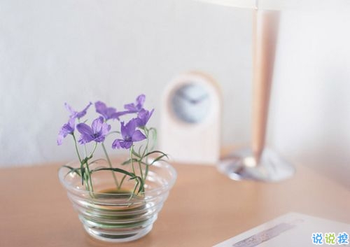 抖音好聽個(gè)性說說帶圖片 能夠吸引人的一句話說說8