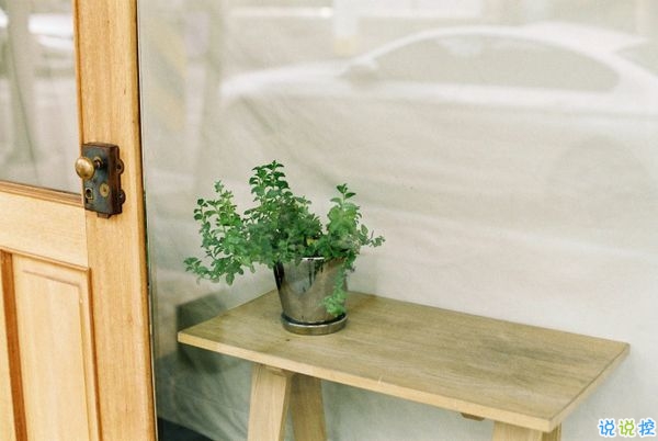 網(wǎng)易云音樂熱評語錄短語精選2019 我勸你早點喜歡我免得浪費時間2