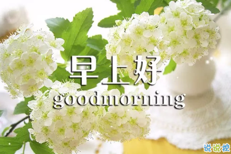 2018早上好正能量的句子和圖片 早上好勵志的句子配圖激勵人心的8