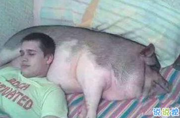 有意思的圖片加說(shuō)說(shuō) 適合發(fā)朋友圈的搞笑段子圖片6