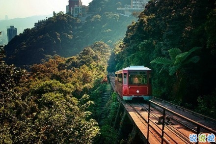 感悟生活的早安心情說說 陽光這么好別辜負了今天10