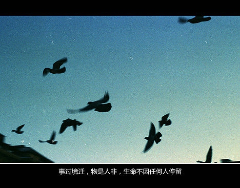 超傷感難過(guò)悲傷的愛(ài)情說(shuō)說(shuō) 你是我枯水年紀(jì)里的一場(chǎng)雨6