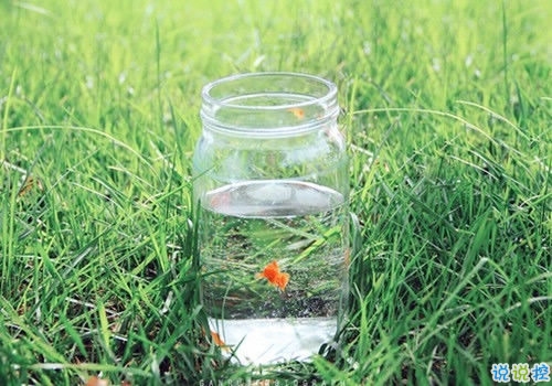 人生充滿陽光的經(jīng)典勵志句子 每天都要更努力的哲理句子大全2