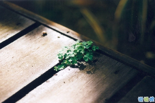 寫給自己的霸氣一段話個性說說 致自己的霸氣超拽勵志個性說說1