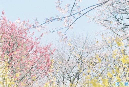 2019最新經典說說給人希望 激勵人心的經典說說帶圖片9