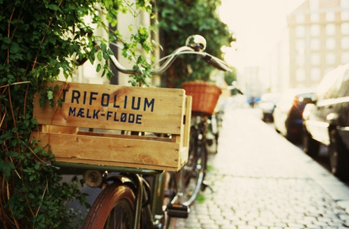 90后關(guān)于人生現(xiàn)實的很有哲理道理的精辟說說5