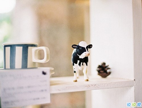 看透愛情的悲傷說(shuō)說(shuō)心痛分手帶圖片 開始很感動(dòng)過(guò)程很精彩結(jié)局不想說(shuō)12