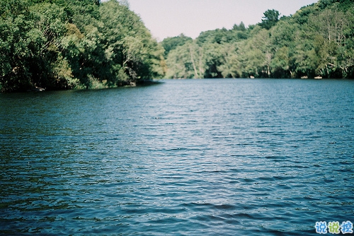 關(guān)于愛情簡單精辟的一句話說說帶圖片 我和世界只差一個(gè)你4