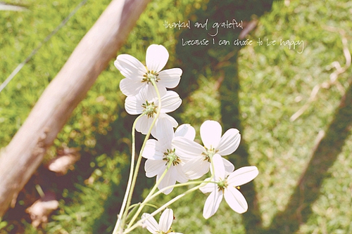 優(yōu)美說說唯美的句子配圖：海底月是天上月，只是鏡花水月9