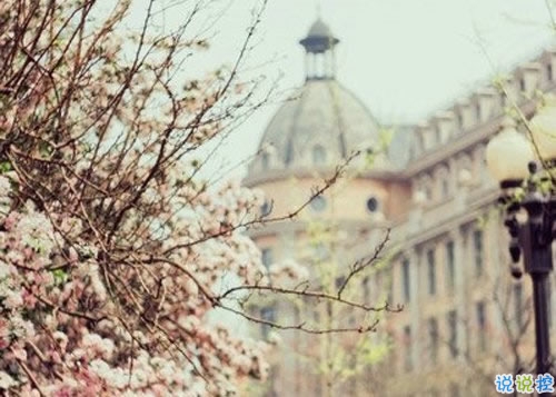 2019春分適合發(fā)朋友圈的說說句子帶圖片 今日春分早安經(jīng)典說說13