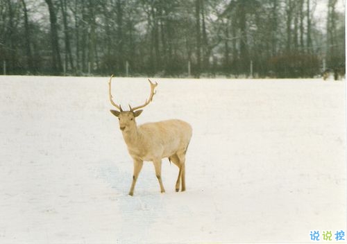 關(guān)于分離分別的傷感說說 每個人都是孤獨(dú)的傷感說說20181