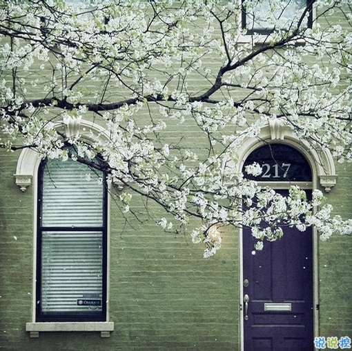 森系小清新文藝范簡單的一句話經典說說 很有道理也有韻味的復古說說1