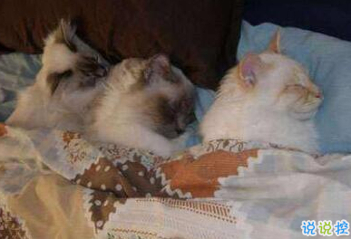 有意思的圖片加說(shuō)說(shuō) 適合發(fā)朋友圈的搞笑段子圖片11