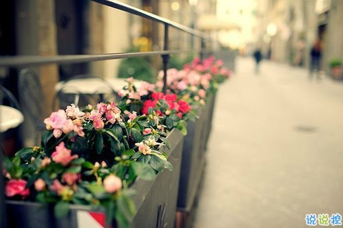 對愛一往情深的經(jīng)典說說帶圖片 文藝愛情小短句表達愛意9