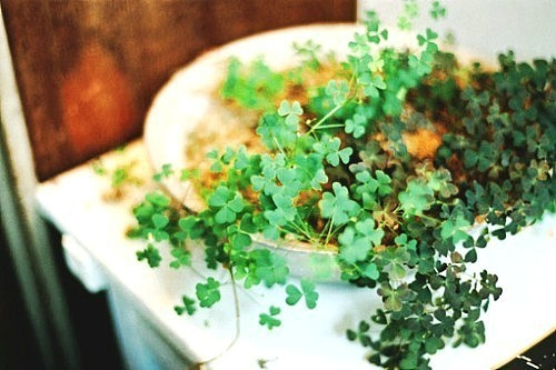 關(guān)于夏天的唯美文藝說(shuō)說(shuō)帶圖片 夏有彤云蔚然成風(fēng)3