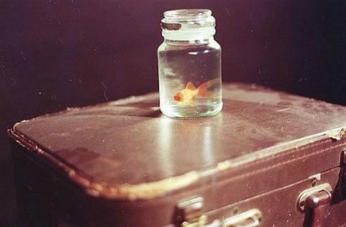 關(guān)于愛情的傷感難過(guò)句子帶圖片 我們兩個(gè)之間的進(jìn)度條可能也就只到這里了吧2