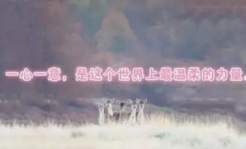 2018早安語錄新的一天帶圖片 唯美早安語錄圖片配圖值得收藏10