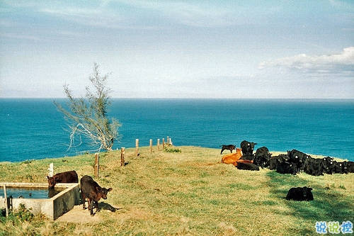 鼓舞人心的經(jīng)典說說帶圖片 朋友圈點贊超多的經(jīng)典說說4