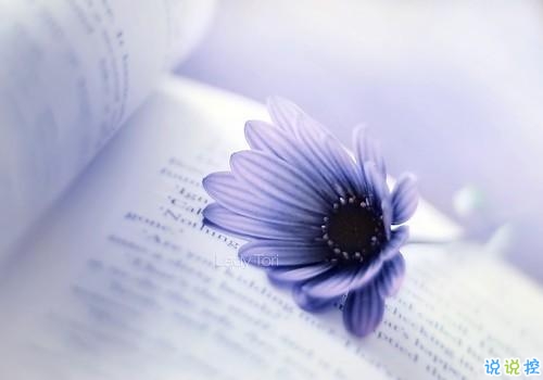 qq文字控愛情哲理說說帶圖片大全 路過了青春我們還剩下什么2