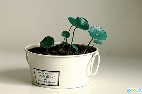 十二月你好幸福唯美說(shuō)說(shuō)帶圖片 2018十二月朋友圈說(shuō)說(shuō)帶著美好祝愿5