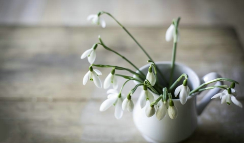 溫暖正能量的勵志說說帶圖片 祝你萬事勝意一切都比你想象的還要好一點9