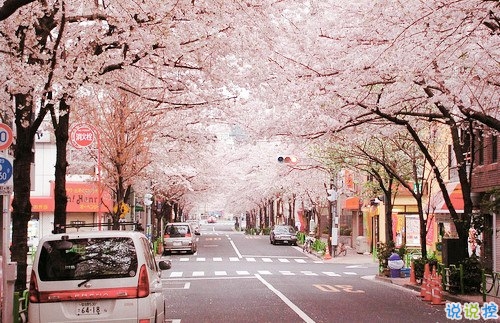 90后的個(gè)性說(shuō)說(shuō)心情短語(yǔ) 90后深有同感的經(jīng)典說(shuō)說(shuō)2