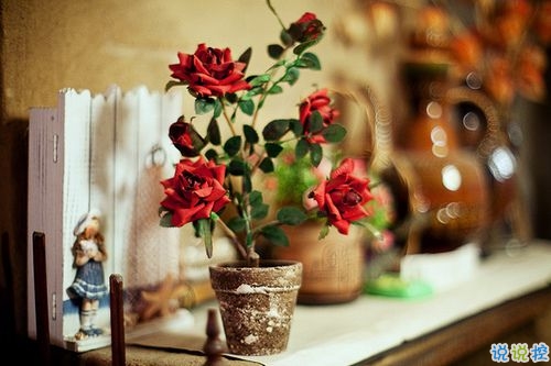 00后個(gè)性說(shuō)說(shuō)霸氣獨(dú)特有創(chuàng)意 一句話很霸氣的說(shuō)說(shuō)合集1